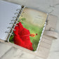 Vellum - Set of 2 - Set No. 5