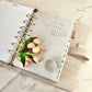 Vellum - Set of 2  - Set No. 1