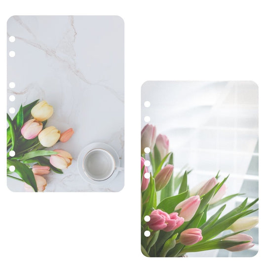 Vellum - Set of 2  - Set No. 1
